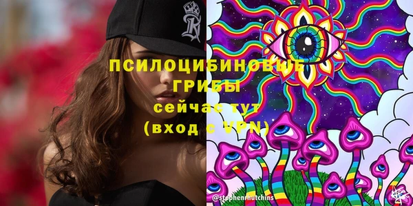 spice Пролетарск