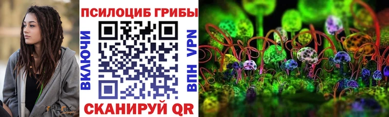 shop наркотические препараты  Артёмовск  Галлюциногенные грибы мухоморы 