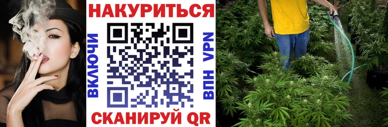Канабис план  наркотики  Артёмовск 